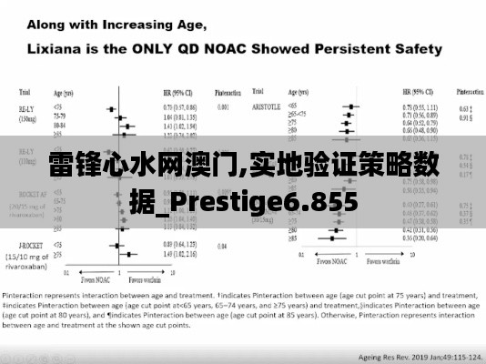 雷锋心水网澳门,实地验证策略数据_Prestige6.855