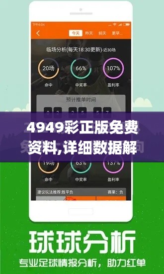 4949彩正版免费资料,详细数据解释定义_AP13.581