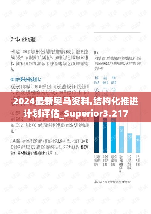 2024最新奥马资料,结构化推进计划评估_Superior3.217