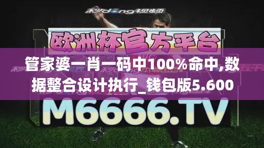 管家婆一肖一码中100%命中,数据整合设计执行_钱包版5.600