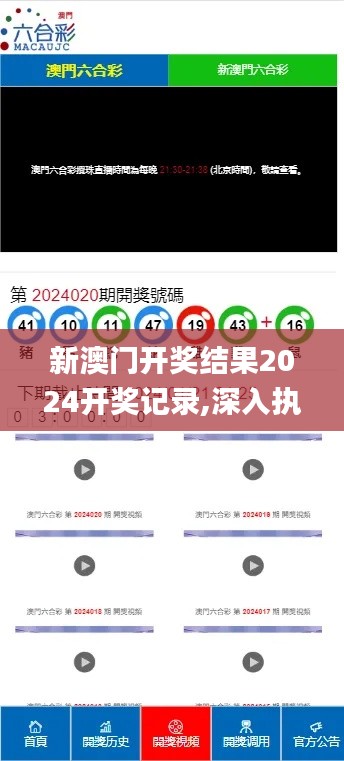 新澳门开奖结果2024开奖记录,深入执行数据策略_移动版110.695