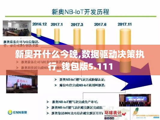 新奥开什么今晚,数据驱动决策执行_钱包版5.111