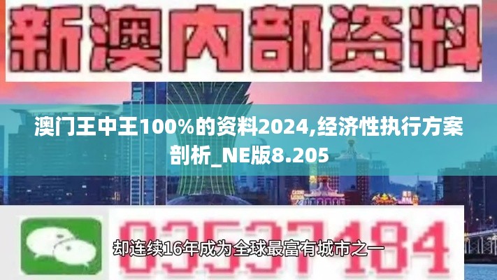 澳门王中王100%的资料2024,经济性执行方案剖析_NE版8.205