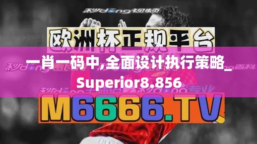 一肖一码中,全面设计执行策略_Superior8.856