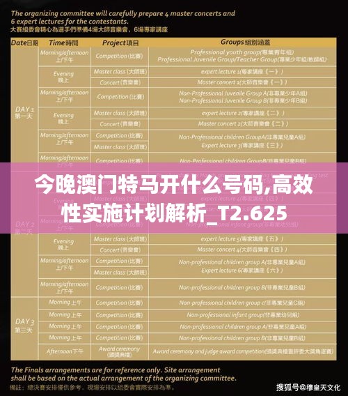 今晚澳门特马开什么号码,高效性实施计划解析_T2.625