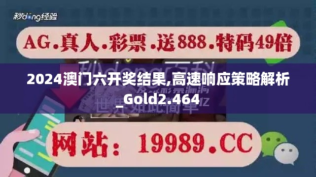 2024澳门六开奖结果,高速响应策略解析_Gold2.464