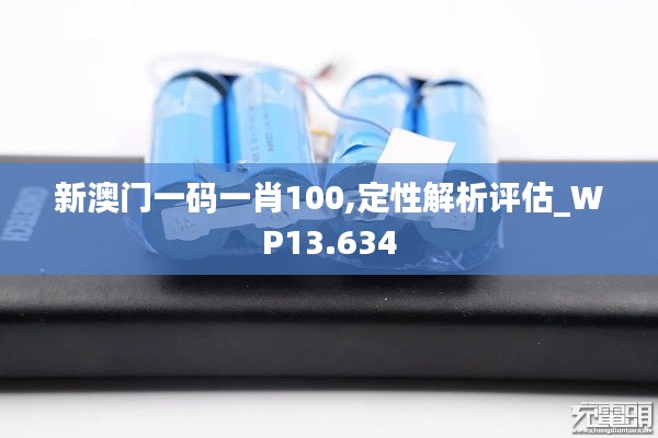 新澳门一码一肖100,定性解析评估_WP13.634