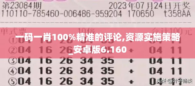 一码一肖100%精准的评论,资源实施策略_安卓版6.160