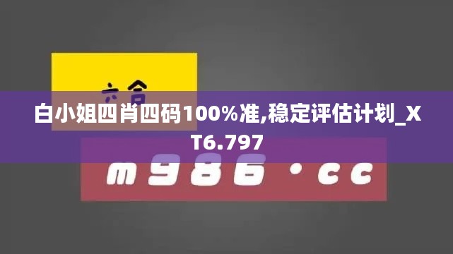 白小姐四肖四码100%准,稳定评估计划_XT6.797