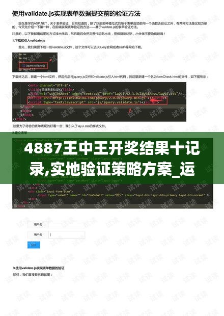 4887王中王开奖结果十记录,实地验证策略方案_运动版5.765