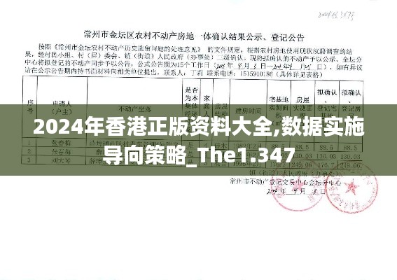 2024年香港正版资料大全,数据实施导向策略_The1.347