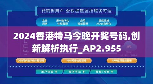 2024香港特马今晚开奖号码,创新解析执行_AP2.955