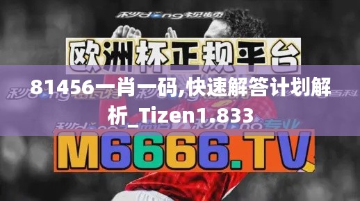 81456一肖一码,快速解答计划解析_Tizen1.833