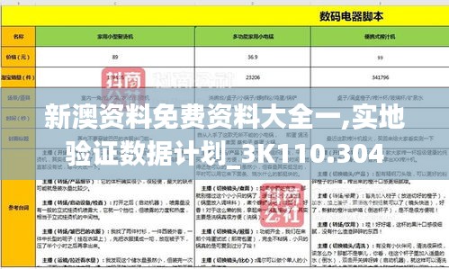 新澳资料免费资料大全一,实地验证数据计划_3K110.304