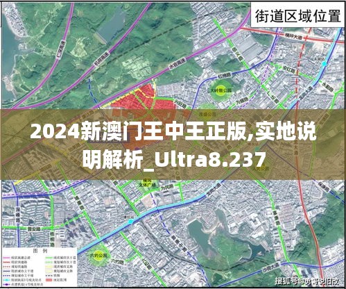 2024新澳门王中王正版,实地说明解析_Ultra8.237