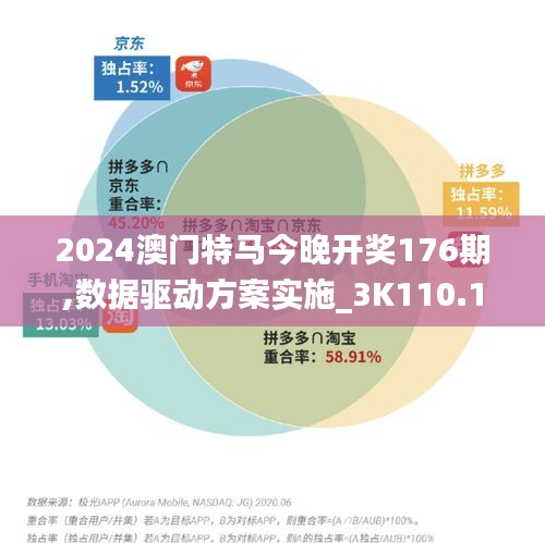 2024澳门特马今晚开奖176期,数据驱动方案实施_3K110.168