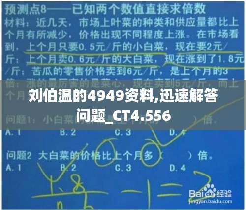 刘伯温的4949资料,迅速解答问题_CT4.556