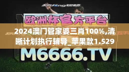 2024澳门管家婆三肖100%,清晰计划执行辅导_苹果款1.529