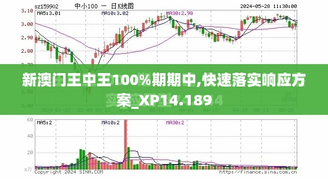 新澳门王中王100%期期中,快速落实响应方案_XP14.189