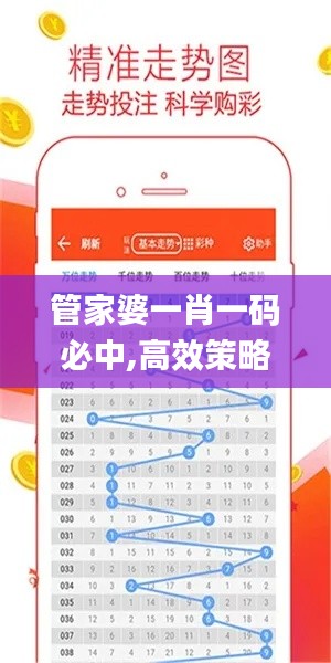 管家婆一肖一码必中,高效策略设计解析_免费版17.666