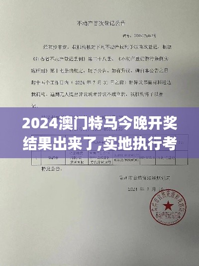 2024澳门特马今晚开奖结果出来了,实地执行考察设计_3D5.443