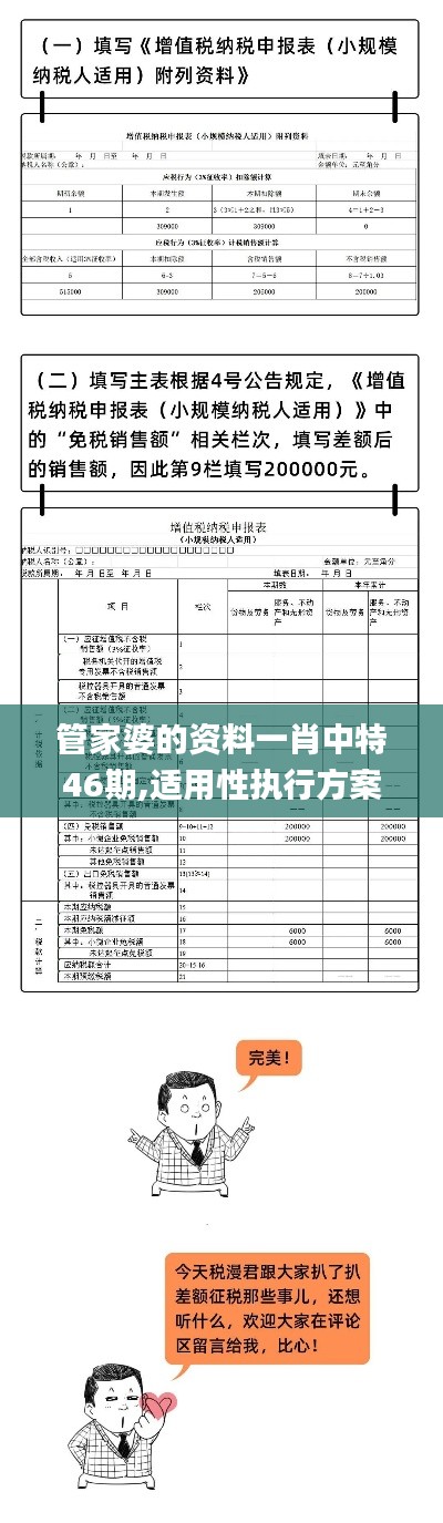 管家婆的资料一肖中特46期,适用性执行方案_精简版9.743