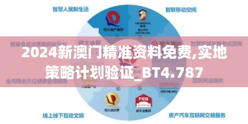 2024新澳门精准资料免费,实地策略计划验证_BT4.787