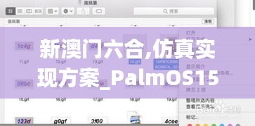 新澳门六合,仿真实现方案_PalmOS15.321