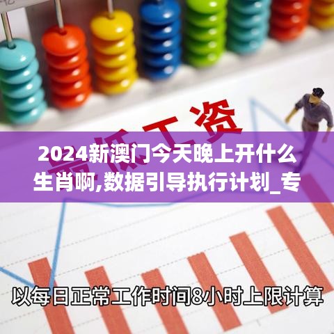 2024新澳门今天晚上开什么生肖啊,数据引导执行计划_专家版6.600