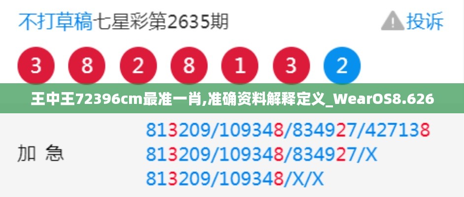 王中王72396cm最准一肖,准确资料解释定义_WearOS8.626