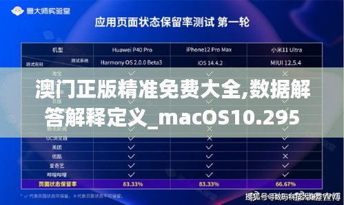 澳门正版精准免费大全,数据解答解释定义_macOS10.295