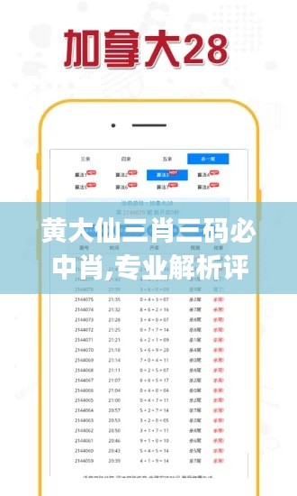 黄大仙三肖三码必中肖,专业解析评估_Premium10.235