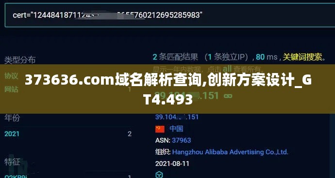 373636.com域名解析查询,创新方案设计_GT4.493
