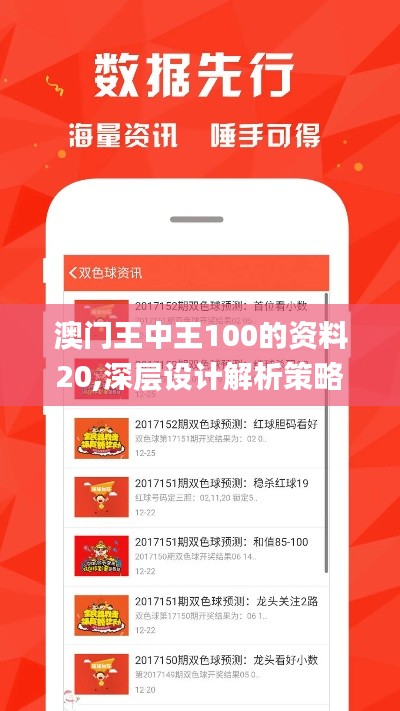 澳门王中王100的资料20,深层设计解析策略_经典款1.248