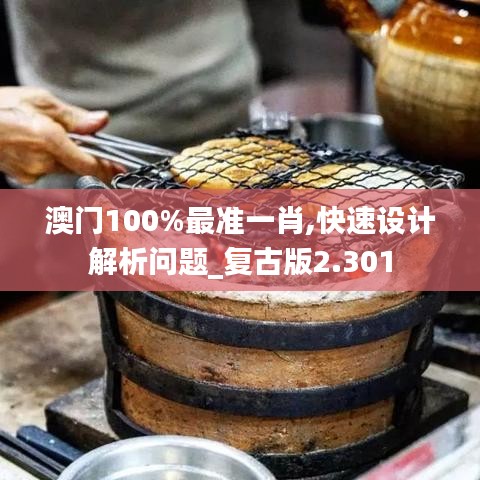 澳门100%最准一肖,快速设计解析问题_复古版2.301