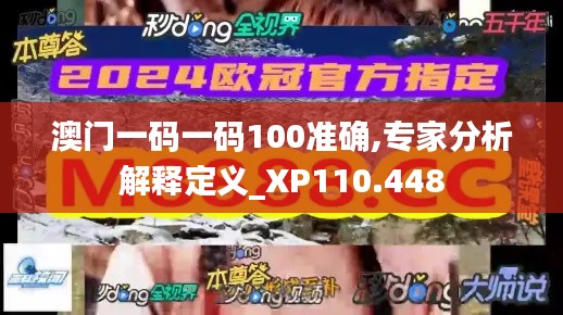 澳门一码一码100准确,专家分析解释定义_XP110.448