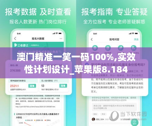 澳门精准一笑一码100%,实效性计划设计_苹果版8.184