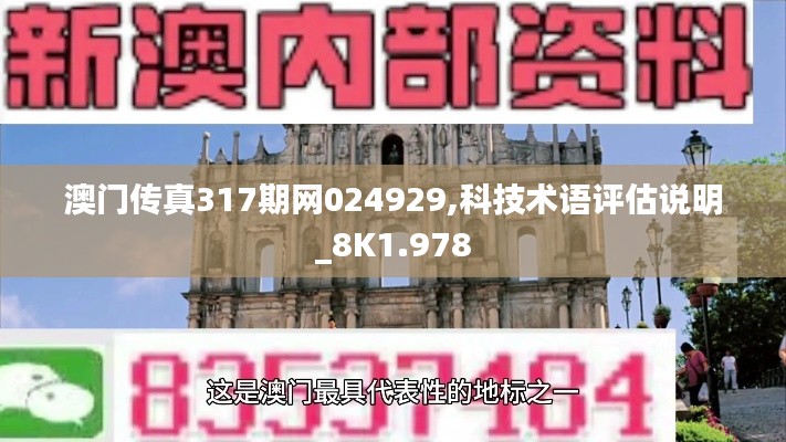 澳门传真317期网024929,科技术语评估说明_8K1.978