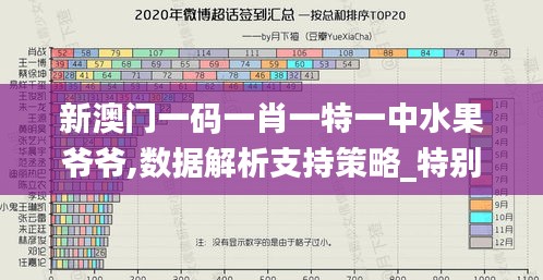 新澳门一码一肖一特一中水果爷爷,数据解析支持策略_特别版4.898