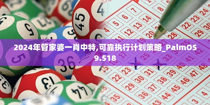 2024年管家婆一肖中特,可靠执行计划策略_PalmOS9.518