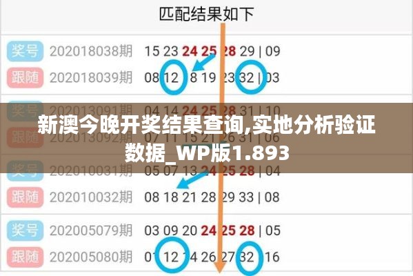 新澳今晚开奖结果查询,实地分析验证数据_WP版1.893