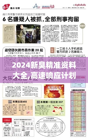 2024新臭精准资料大全,高速响应计划实施_终极版2.602