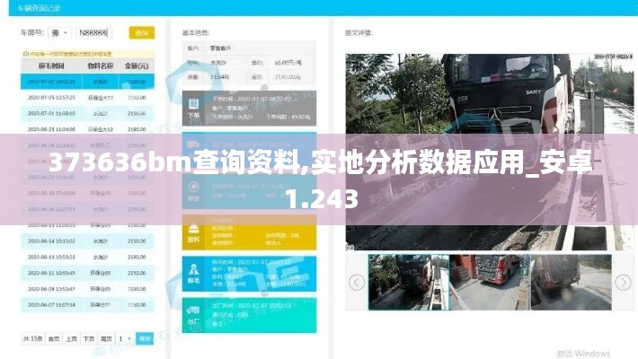 373636bm查询资料,实地分析数据应用_安卓1.243