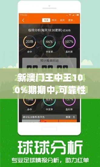 新澳门王中王100%期期中,可靠性策略解析_Max1.472