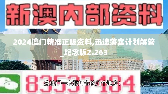 2024澳门精准正版资料,迅速落实计划解答_纪念版2.263