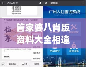 管家婆八肖版资料大全相逢一笑,快速计划设计解析_KP7.515