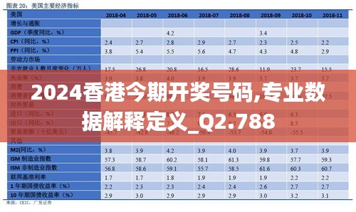 2024香港今期开奖号码,专业数据解释定义_Q2.788