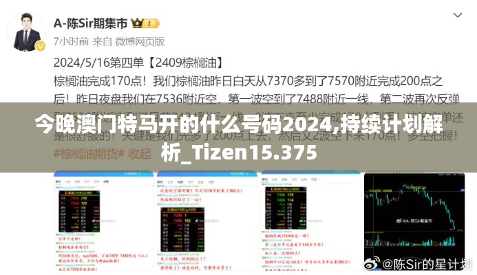 今晚澳门特马开的什么号码2024,持续计划解析_Tizen15.375