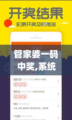 管家婆一码中奖,系统化分析说明_tool1.488