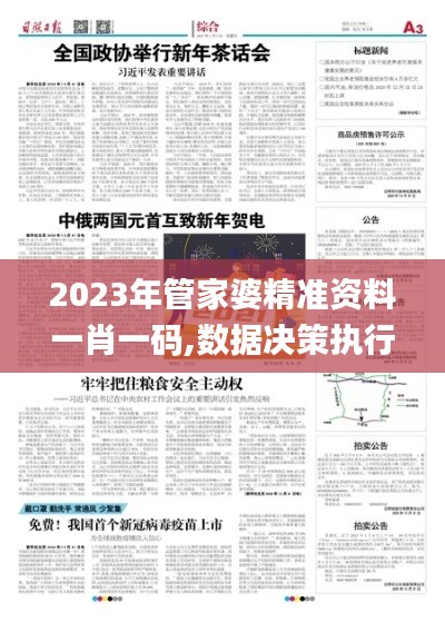 2023年管家婆精准资料一肖一码,数据决策执行_移动版16.233